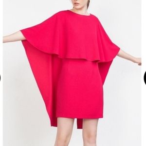 Zara Hot Pink Backless Dress New with Tag Large